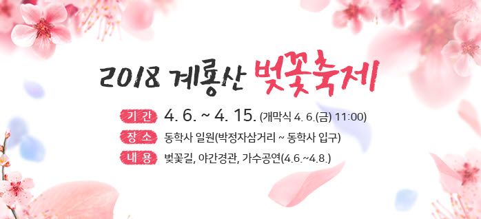 2018 계룡산 벚꽃축제 4.6~4.15