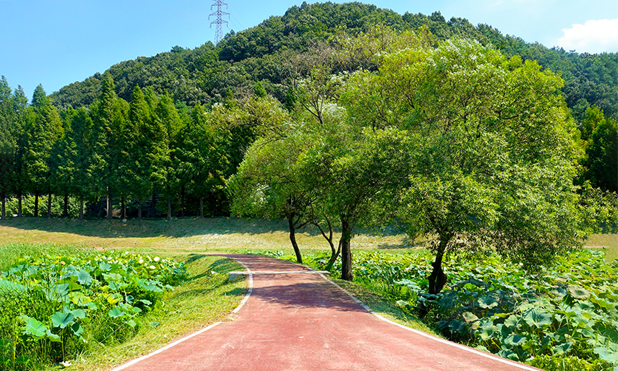 정안천 자전거길