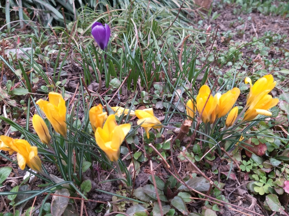 resized_20190305_162919.jpg