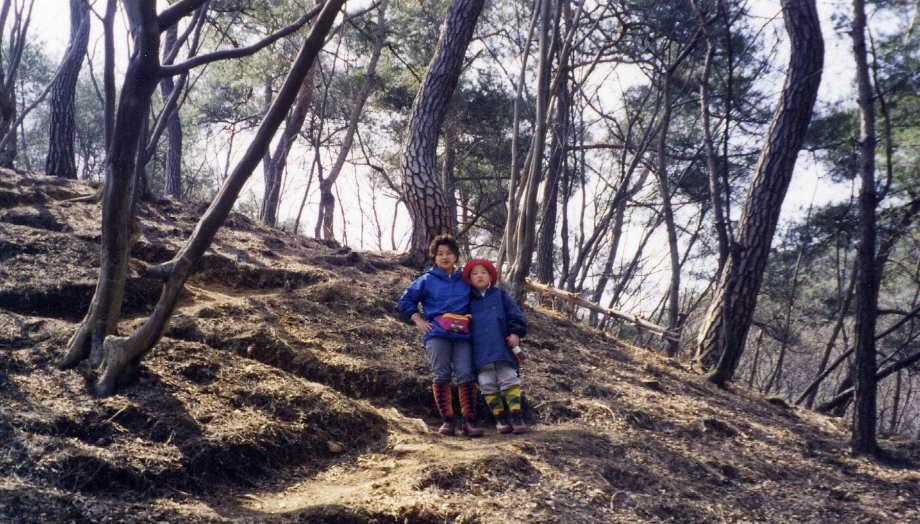 공주 태화산-오래전.jpg