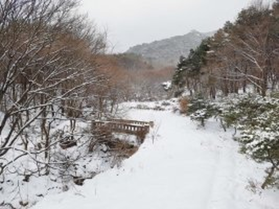 계룡산겨울.jpeg