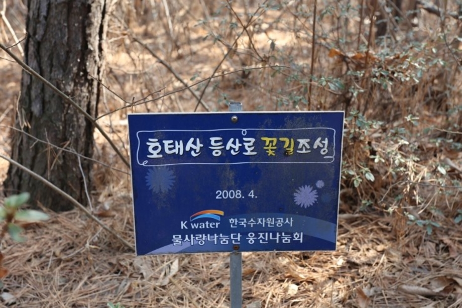 등산로에서.jpg