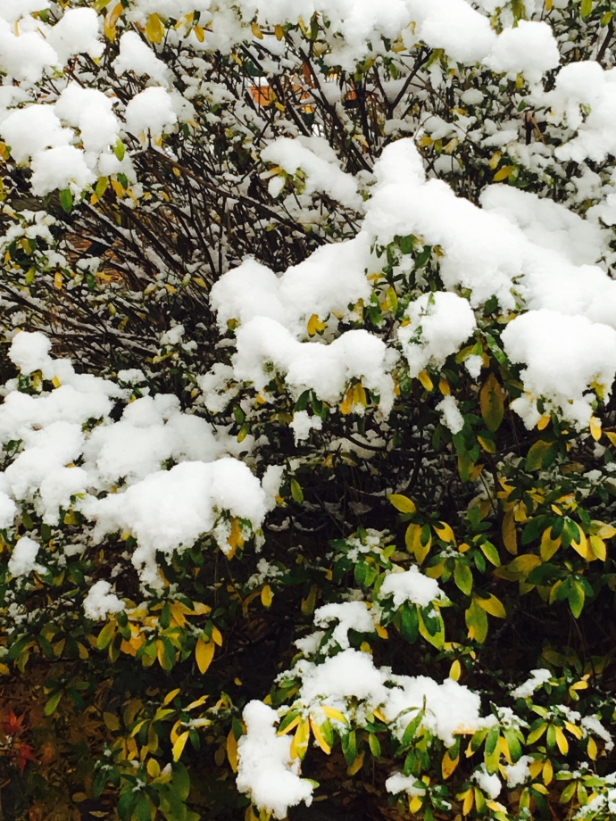 img_1149 복사본.jpg