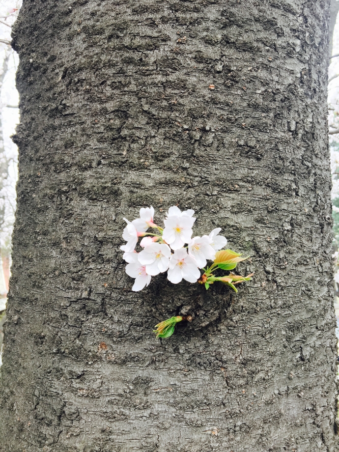 fullsizerender 23 복사본.jpg