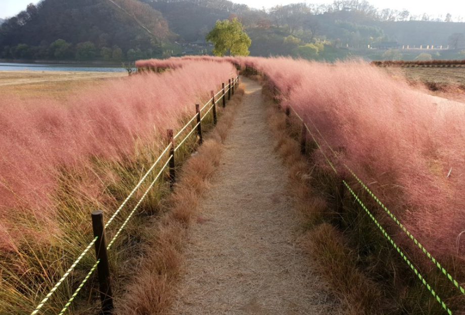 스크린샷 2022-03-15 오전 10.57.51.png