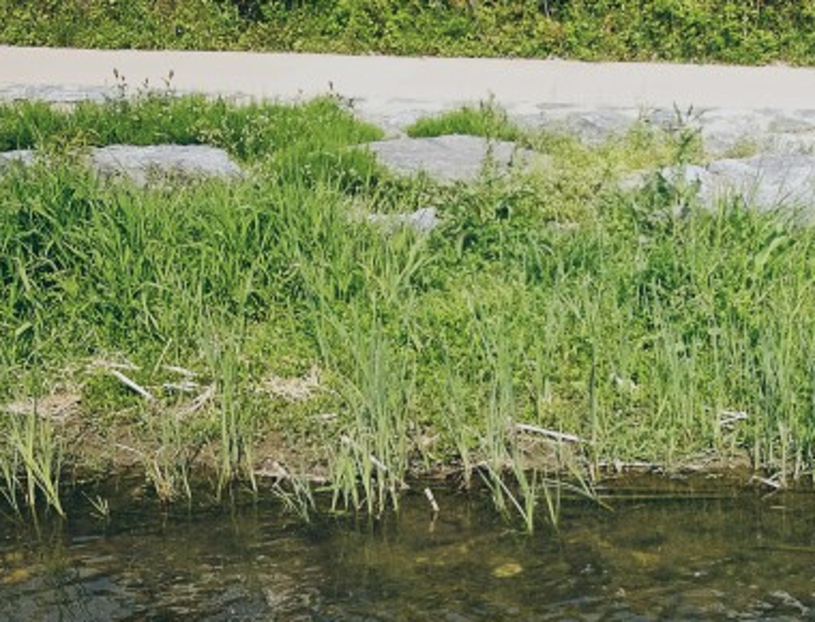 스크린샷 2022-03-16 오후 11.30.50.png