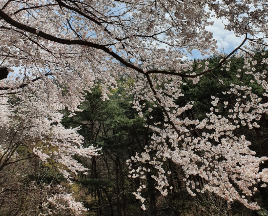 스크린샷 2022-03-21 오후 11.51.03.png