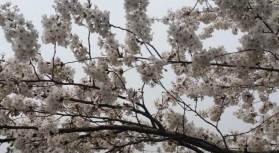 스크린샷 2022-04-09 오후 11.58.48.png