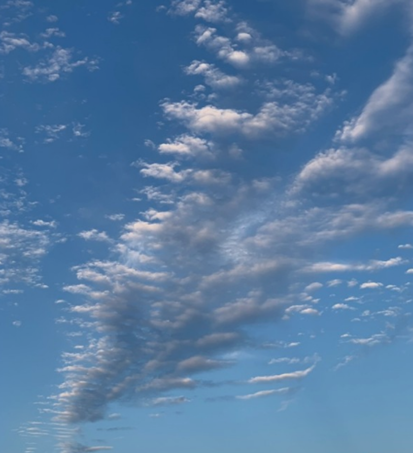 스크린샷 2022-04-22 오후 11.28.52.png