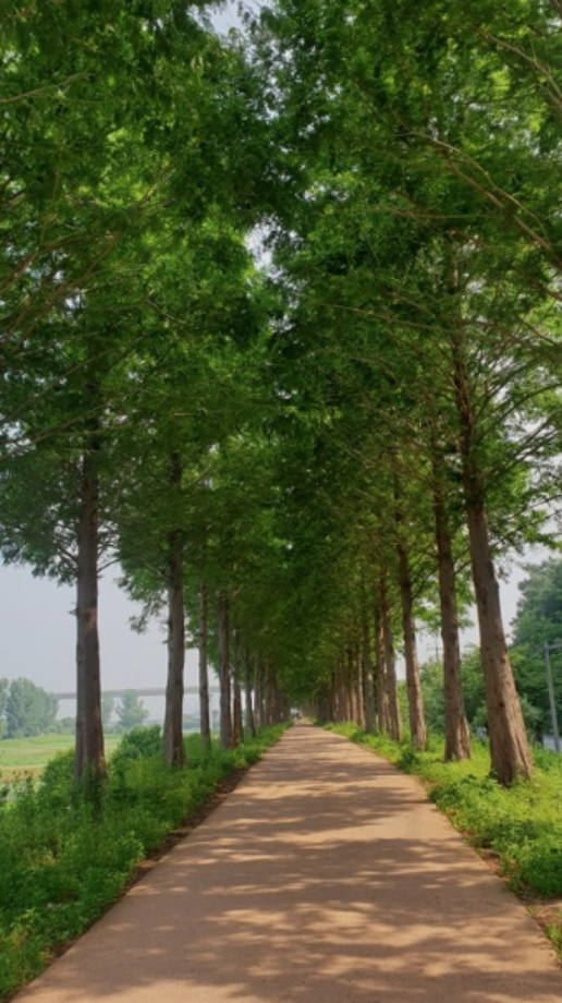 스크린샷 2022-04-22 오후 11.29.12.png