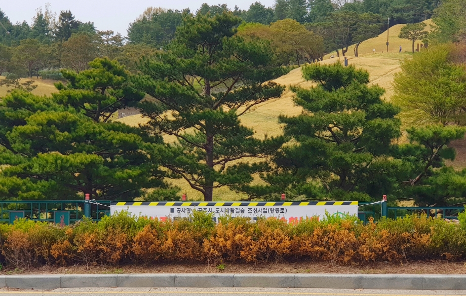 공주시 도시바람길숲 조성사업.jpg