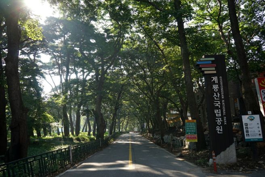 갑사숲길.jpg