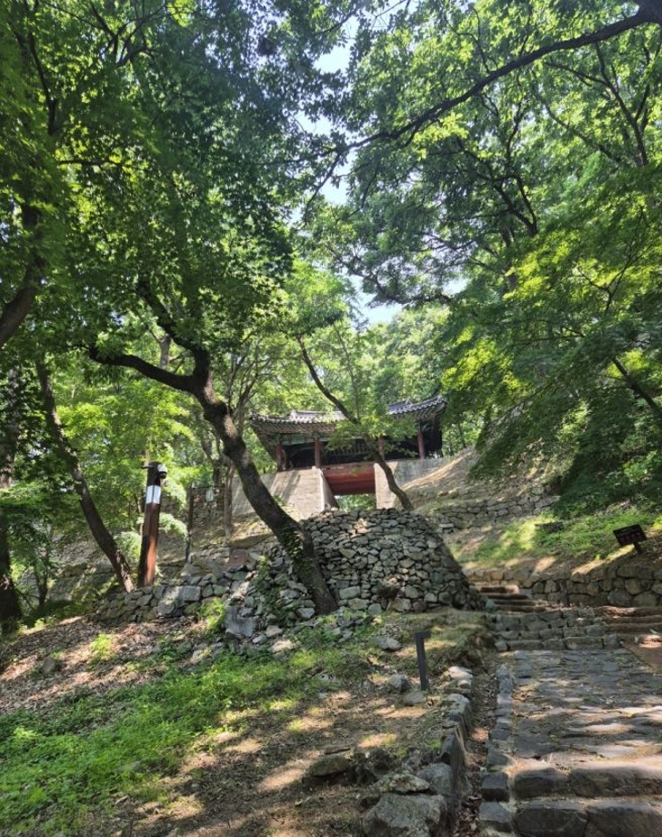 공산성초여름.jpg