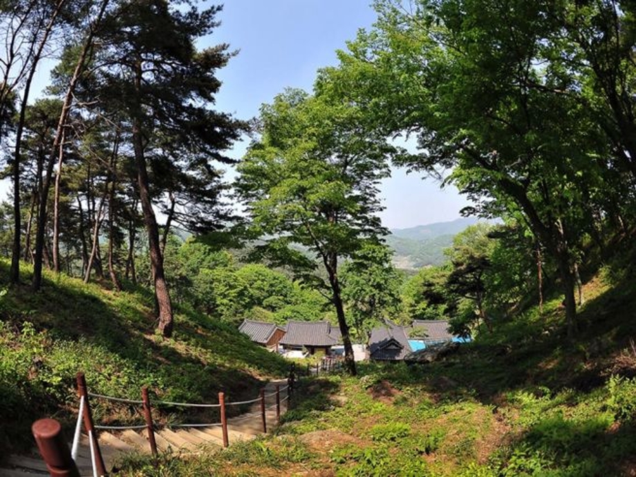 김구명상길(마곡사).jpg