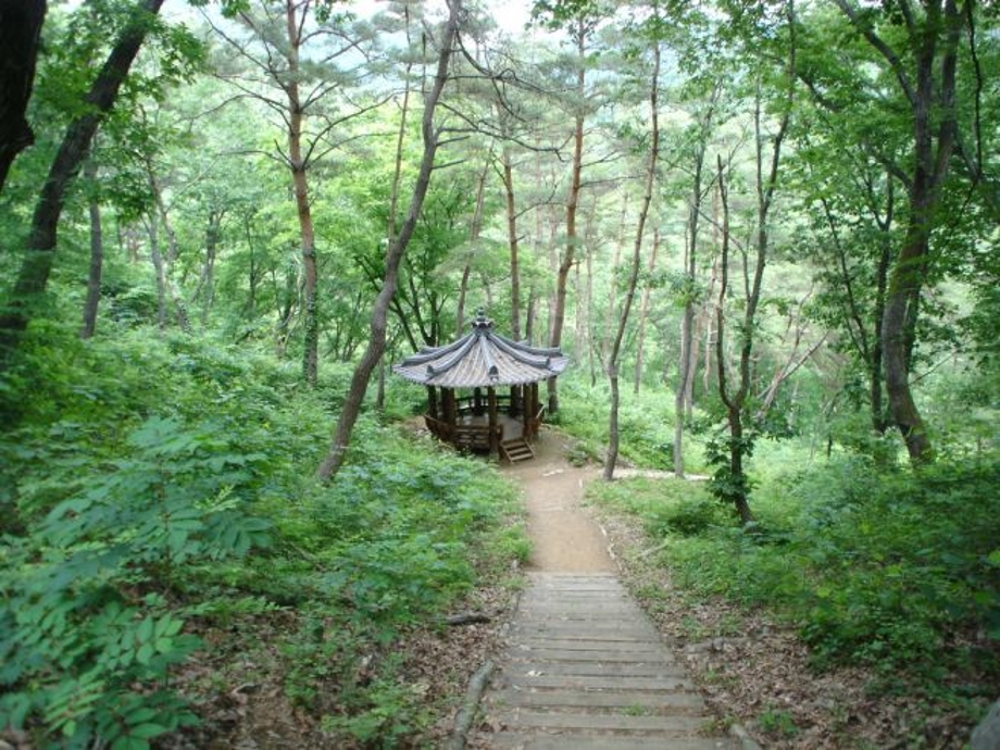 마곡사솔바람길.jpg