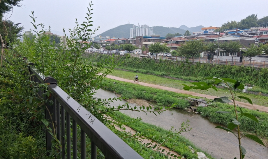 제민천.jpg