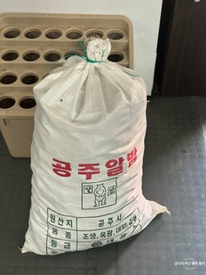 알밤한자루.jpg