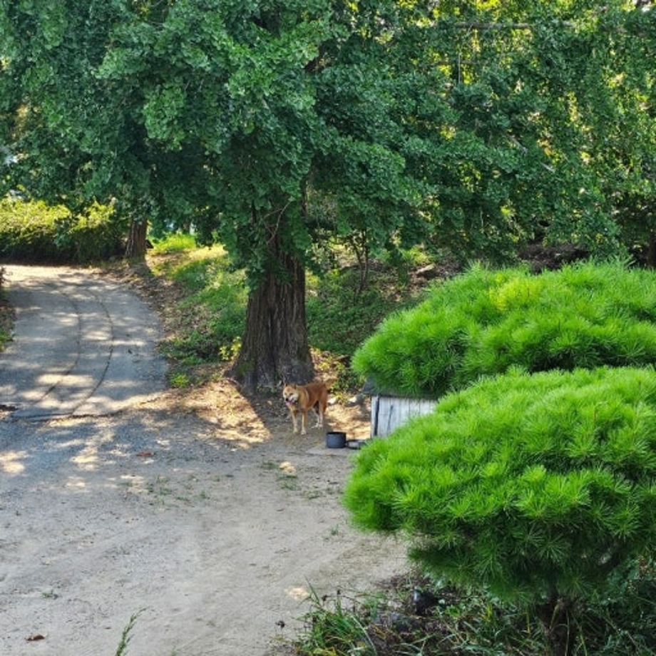 다운로드 (2).jpg