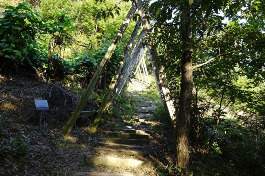 연미산의숲.jpg
