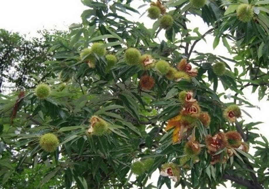 다운로드 (4).jpg