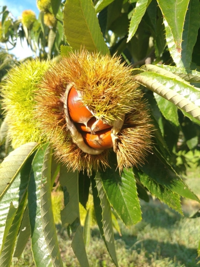 다운로드 (5).jpg