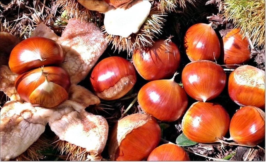 다운로드 (6).jpg