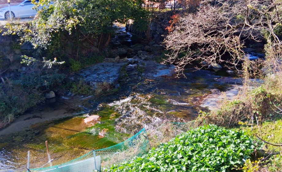 상신리 계곡.jpg