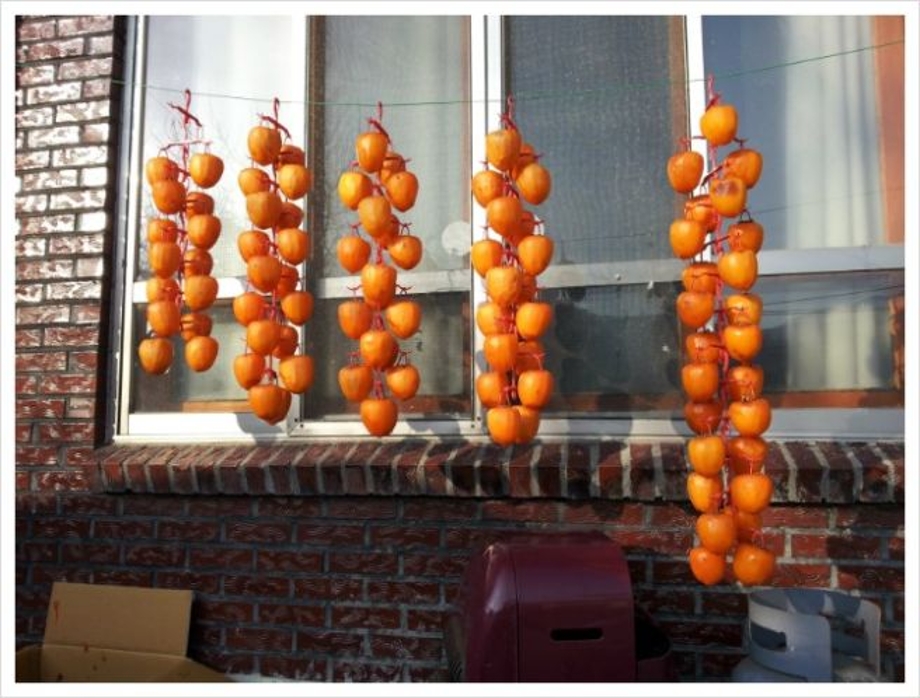 집처마곶감말리기.jpg