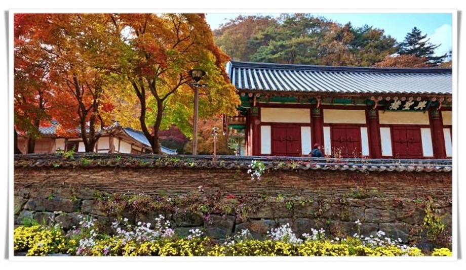 사찰과단풍.jpg