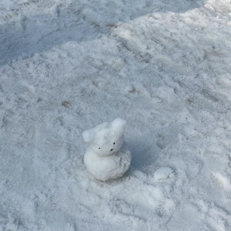 다운로드 (1).jpg