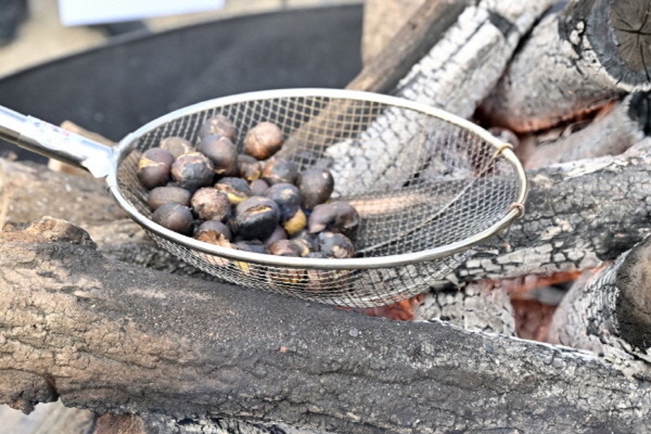 다운로드 (3).jpg