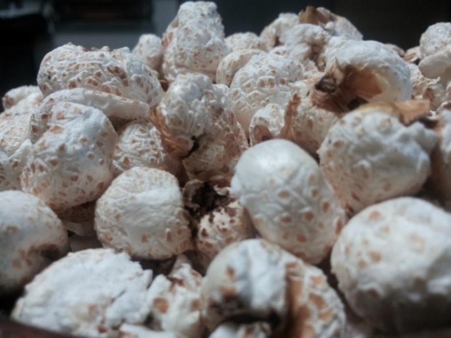 다운로드 (7).jpg