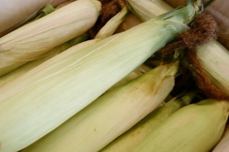 다운로드 (8).jpg