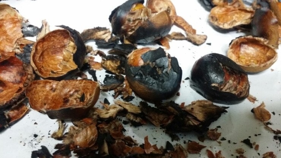 다운로드 (6).jpg