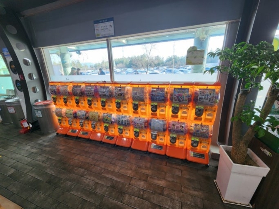 다운로드 (7).jpg