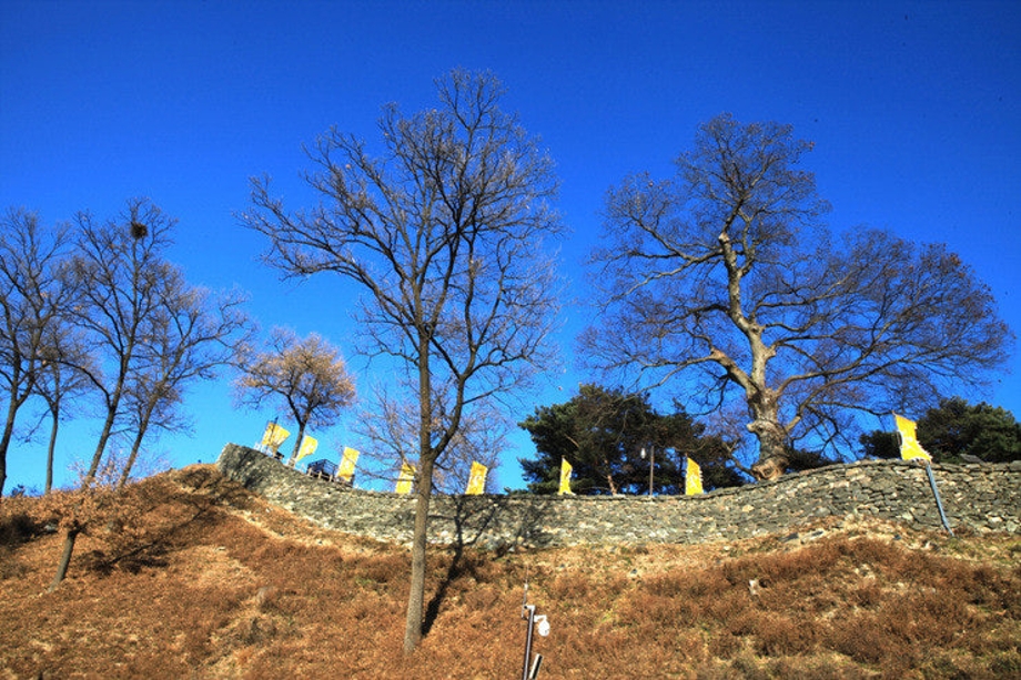 다운로드 (8).jpg