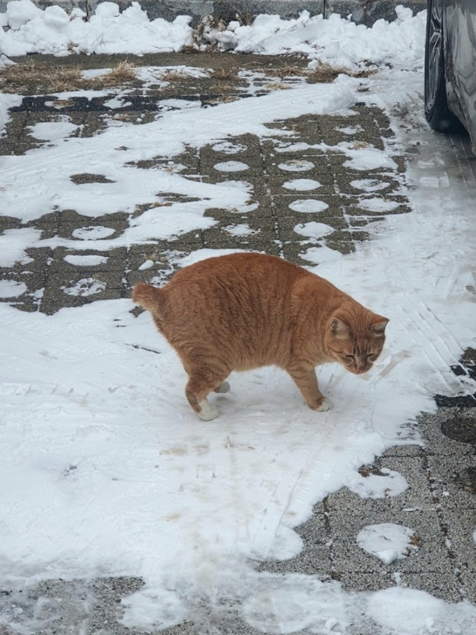 다운로드 (9).jpg