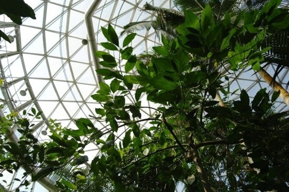 다운로드 (6).jpg