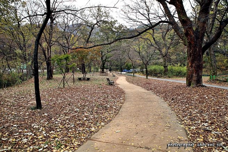 갑사를 걸으며.jpg