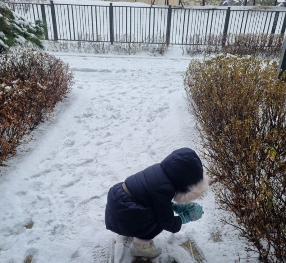 다운로드 (2).jpg