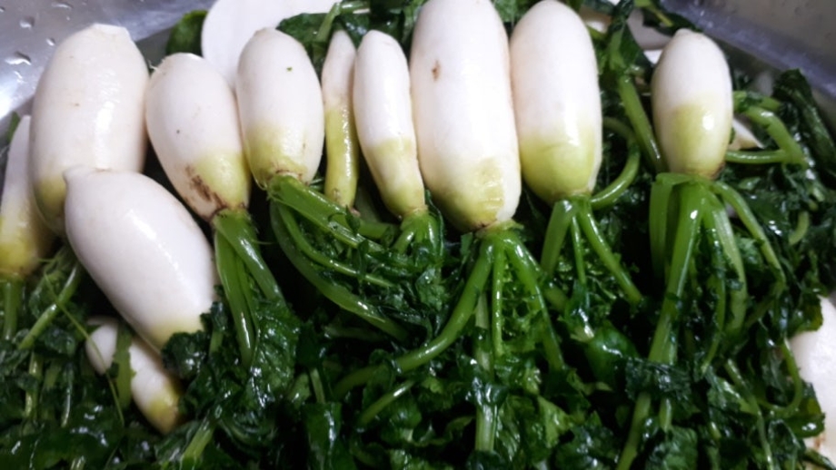 다운로드 (5).jpg