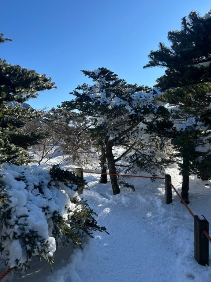 다운로드 (3).jpg