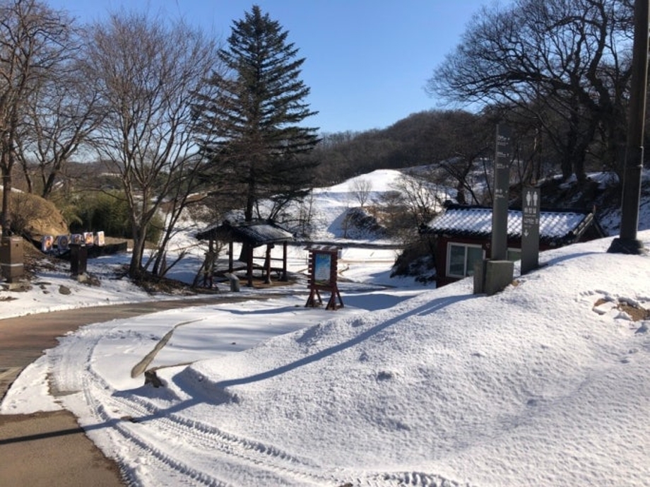 다운로드 (8).jpg