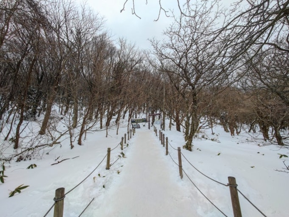 다운로드 (1).jpg