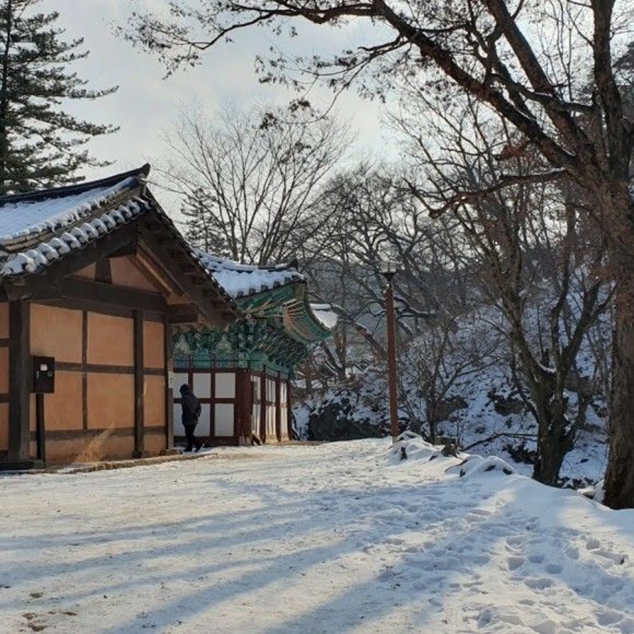 눈온날 마곡사.jpg