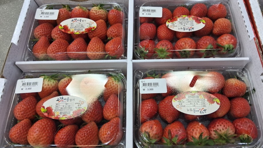 고마나루 딸기.jpg