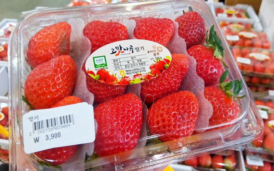고마나루 딸기.jpg