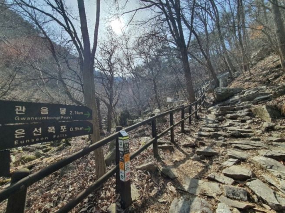 계룡산 등산로에서.jpg