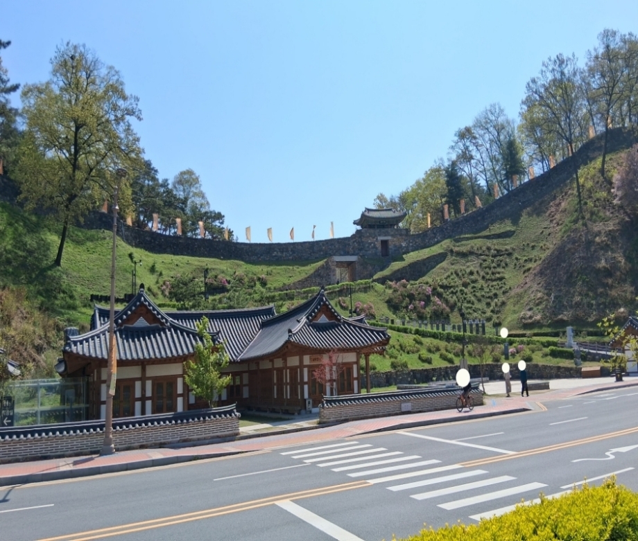 철쭉 핀 공산성.jpg