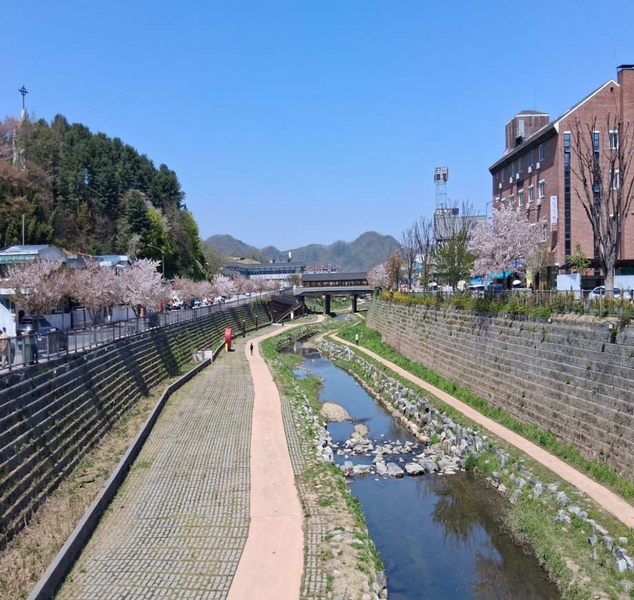 웅진교에서 본 제민천.jpg